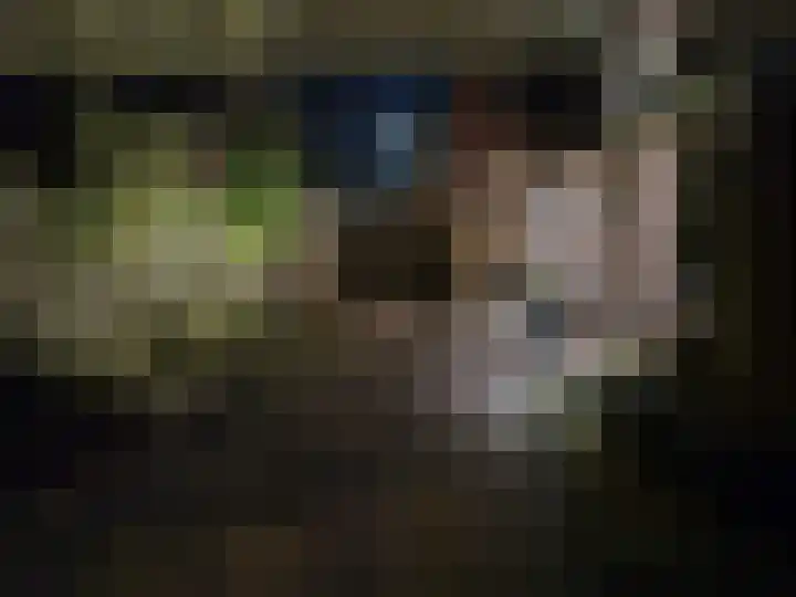 Azelosestraat 64 Borne thumbnail 33
