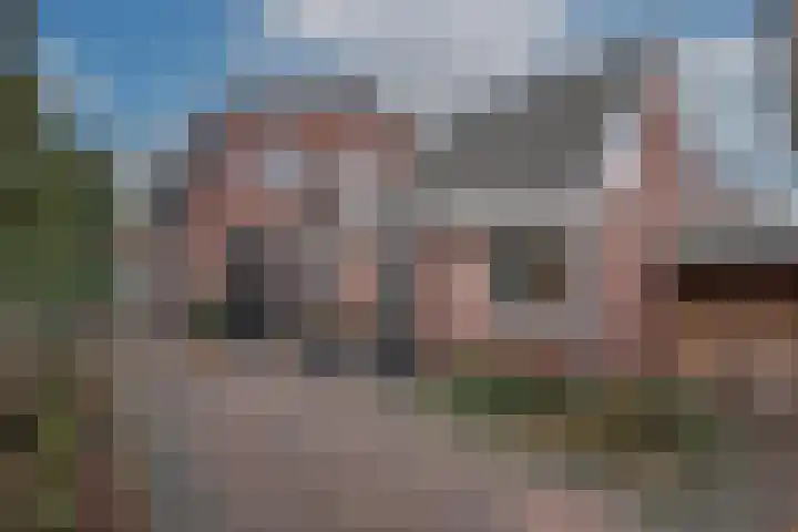 Azelosestraat 64 Borne thumbnail 34