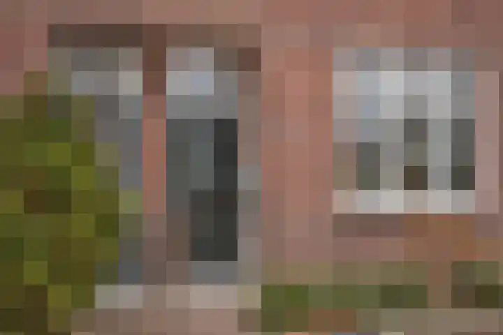 Azelosestraat 64 Borne thumbnail 5
