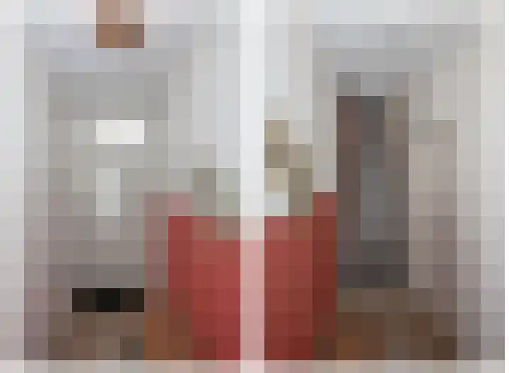 Azelosestraat 64 Borne thumbnail 6