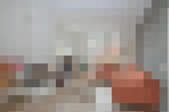 Azelosestraat 64 Borne thumbnail 7