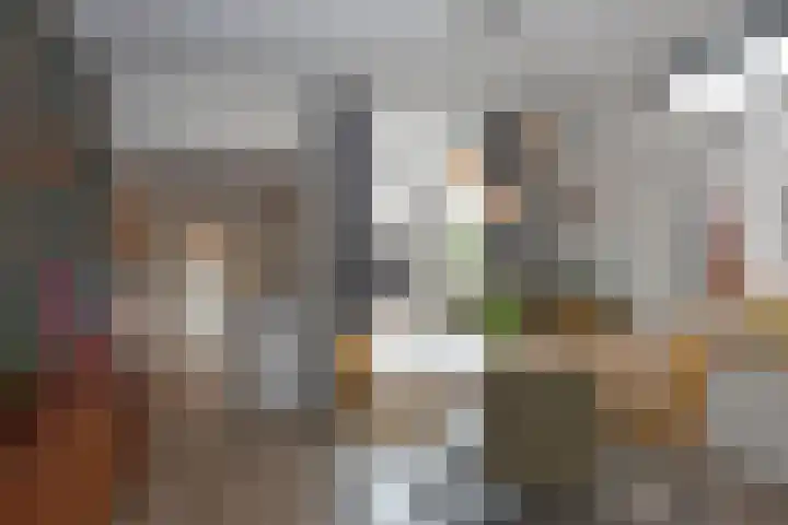 Azelosestraat 64 Borne thumbnail 9