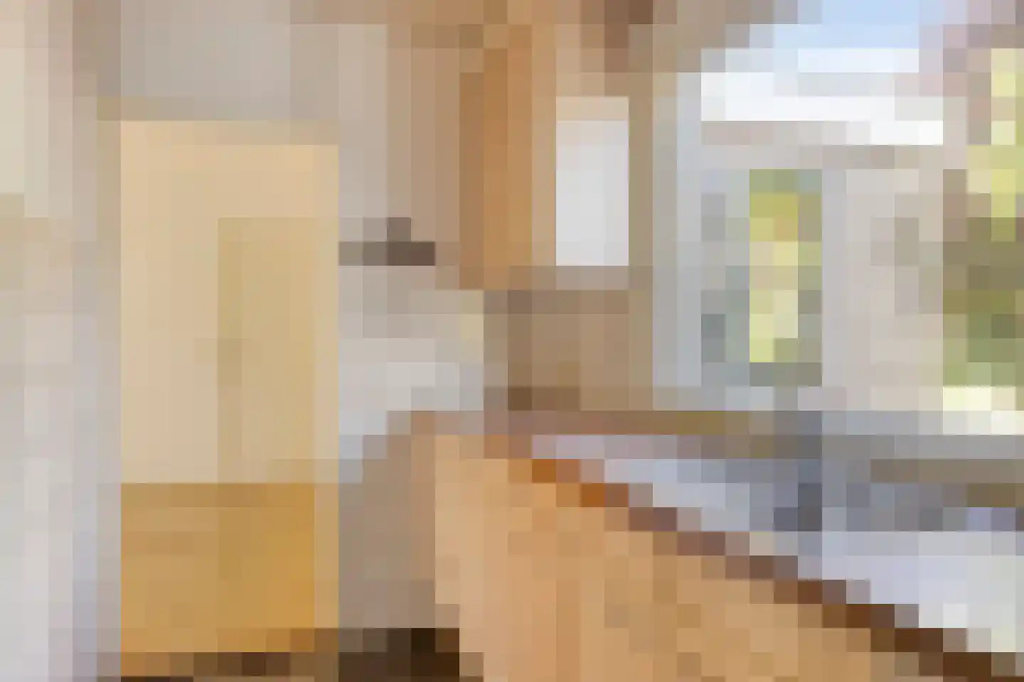 Azelosestraat 94 Borne thumbnail 10