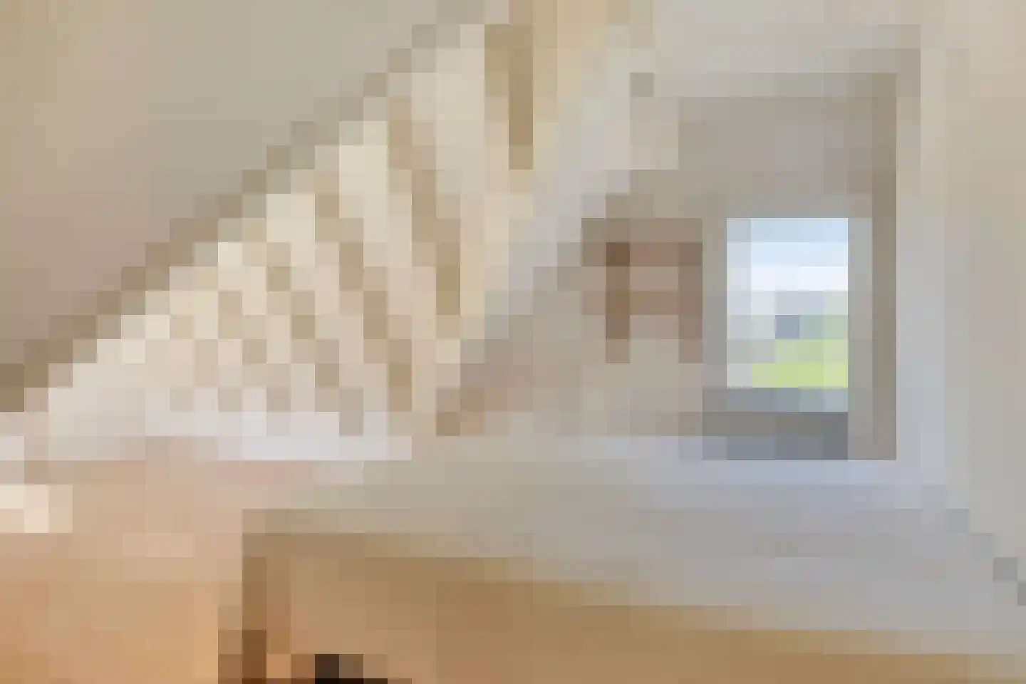 Azelosestraat 94 Borne thumbnail 16