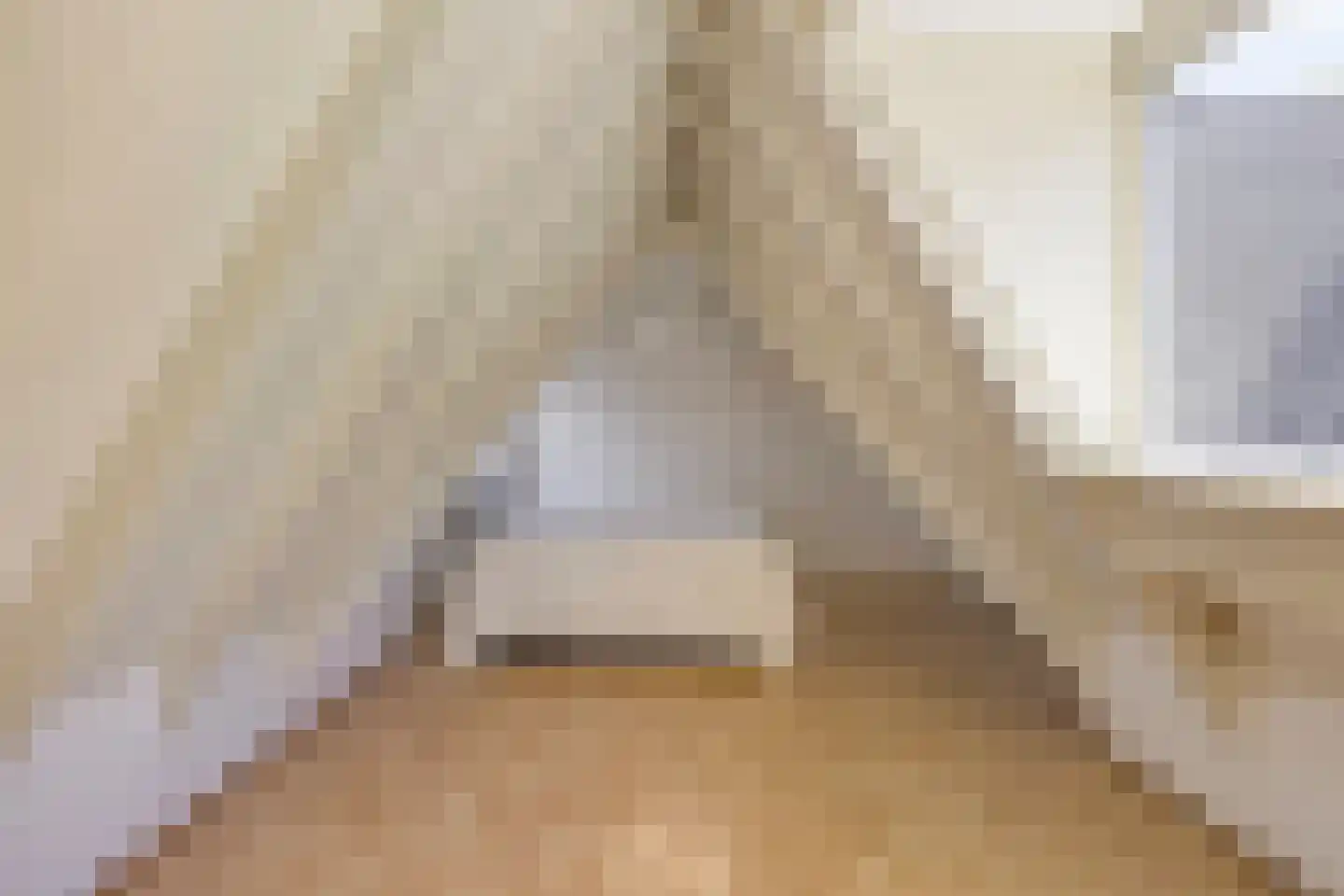 Azelosestraat 94 Borne thumbnail 17