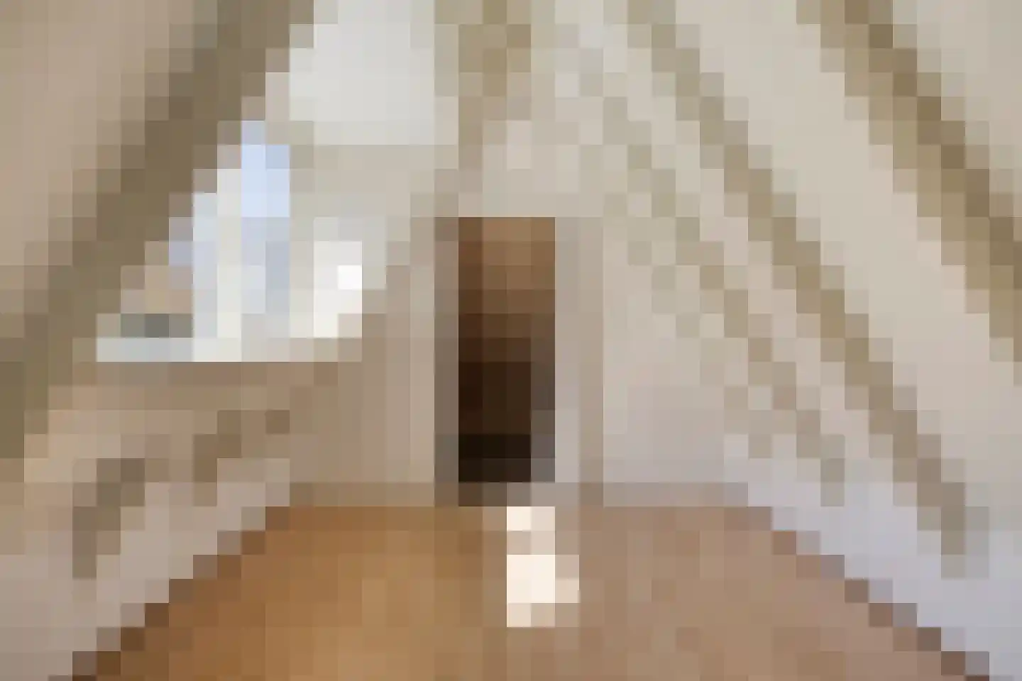 Azelosestraat 94 Borne thumbnail 18