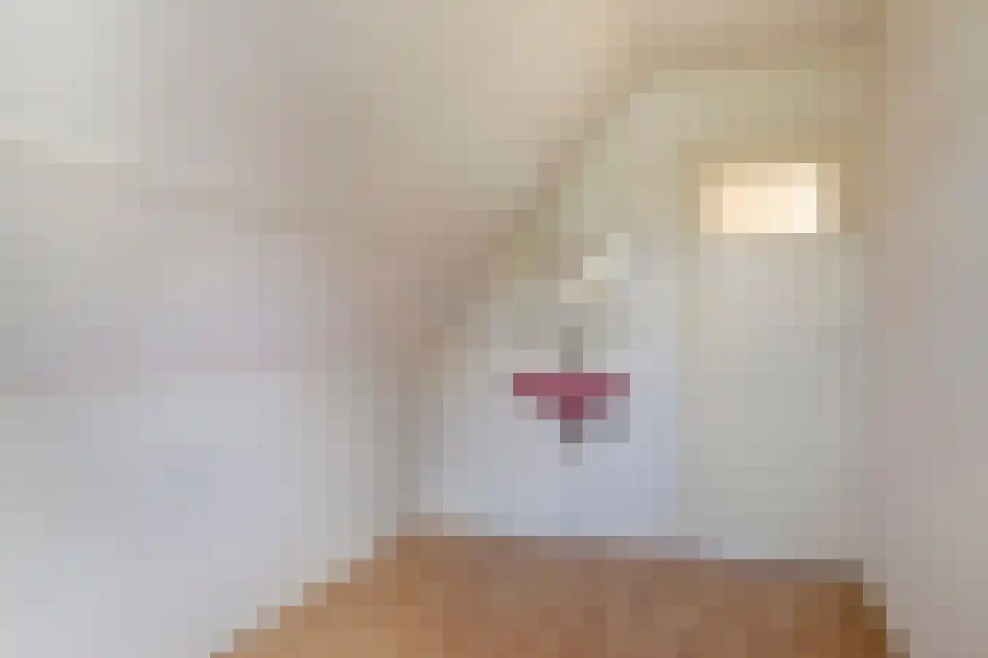 Azelosestraat 94 Borne thumbnail 22