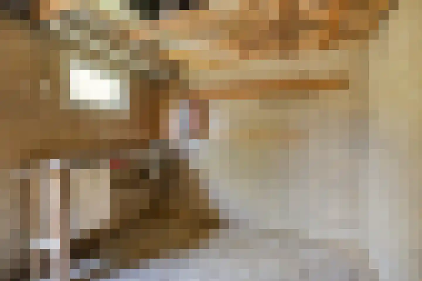 Azelosestraat 94 Borne thumbnail 26