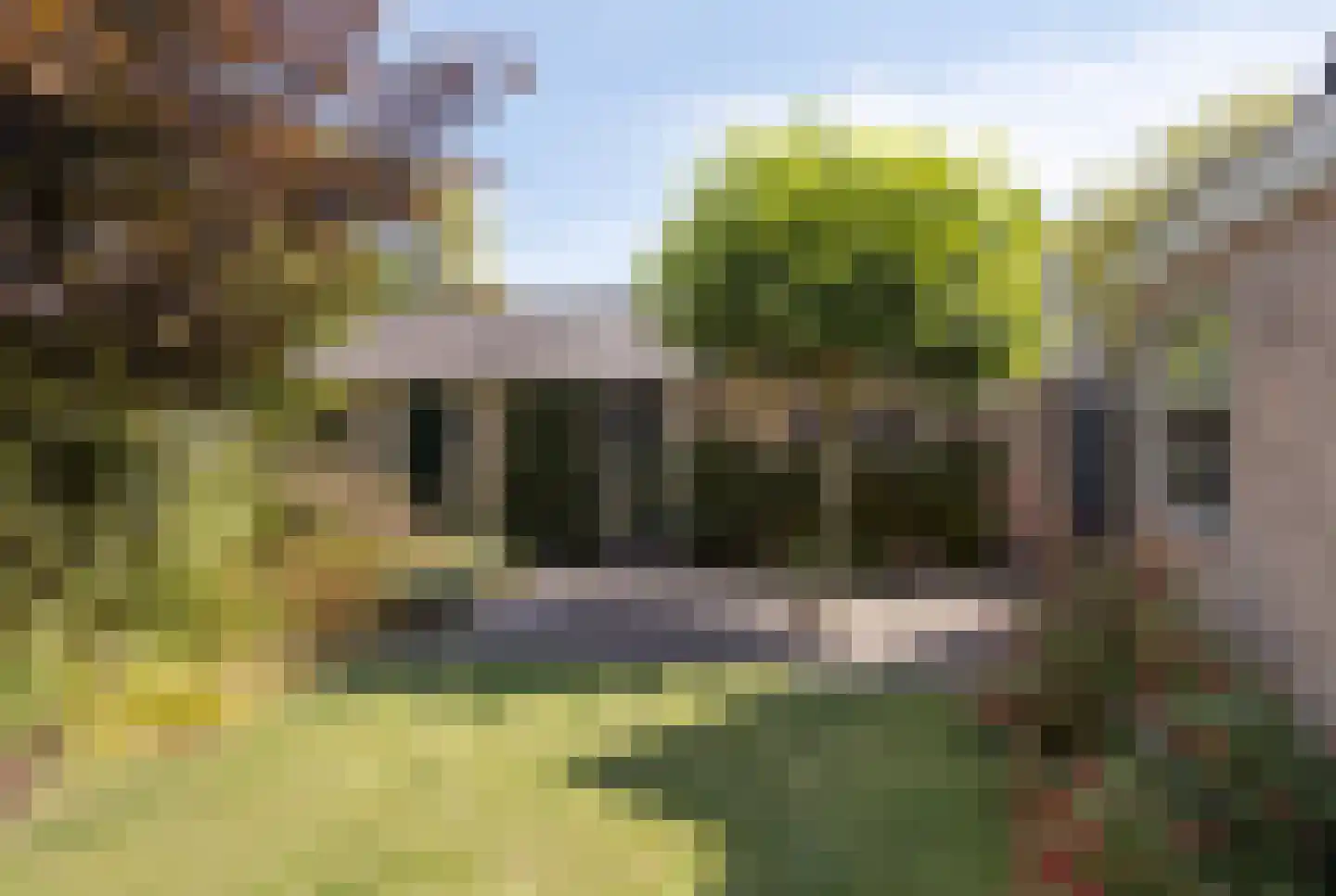 Azelosestraat 94 Borne thumbnail 28