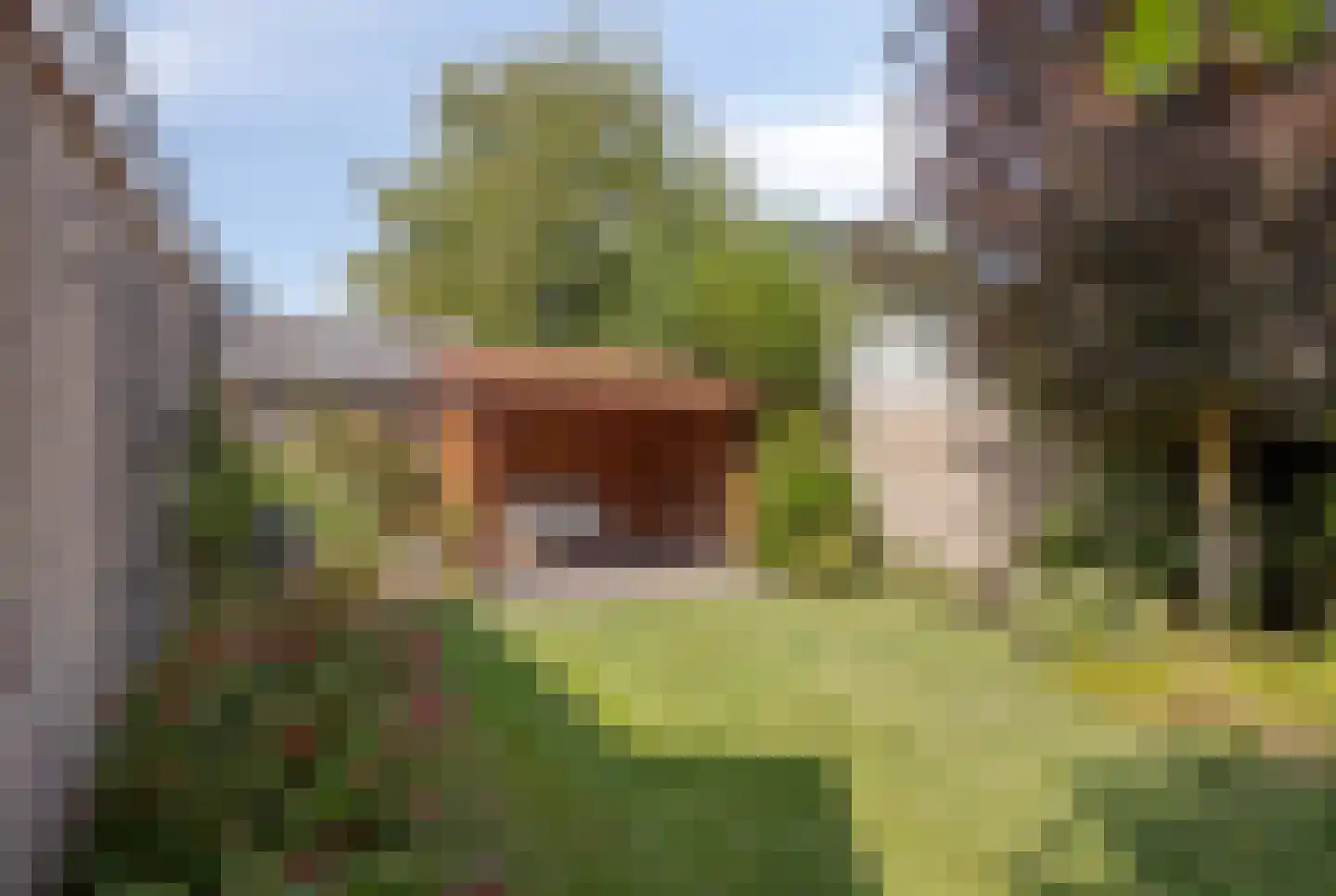 Azelosestraat 94 Borne thumbnail 29