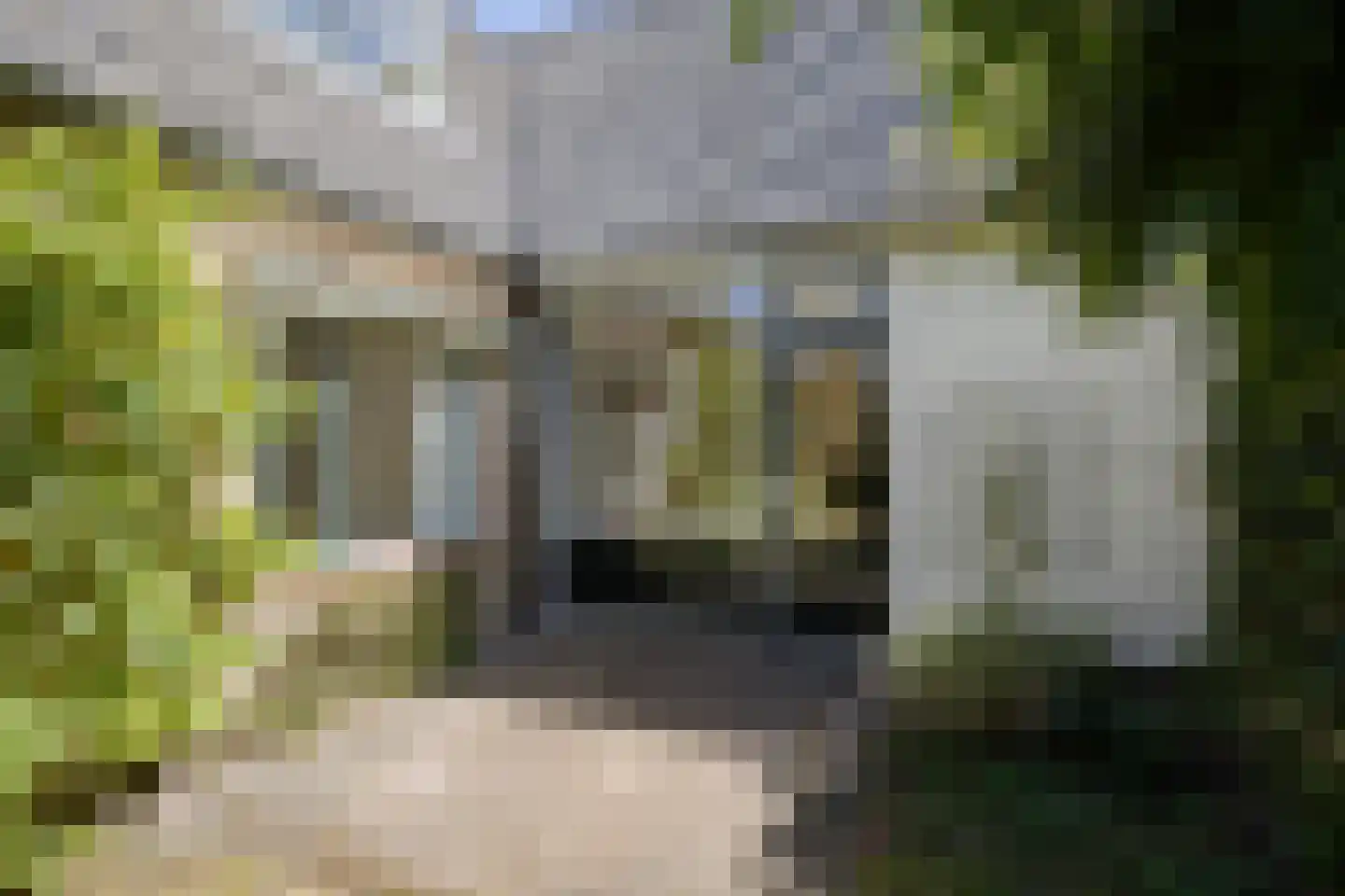 Azelosestraat 94 Borne thumbnail 31