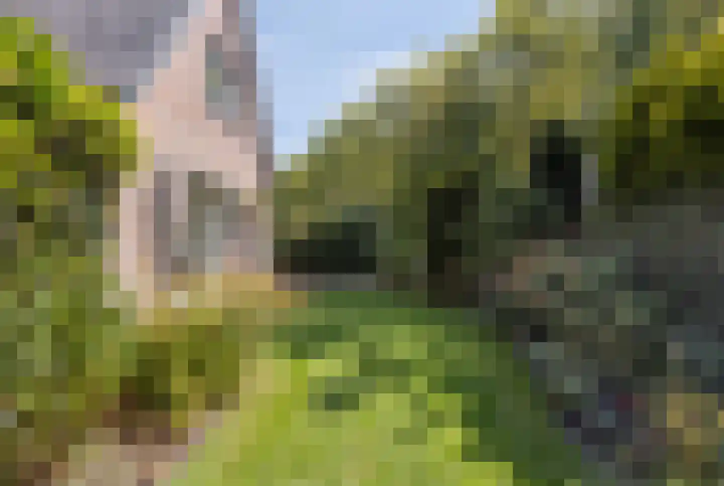 Azelosestraat 94 Borne thumbnail 32