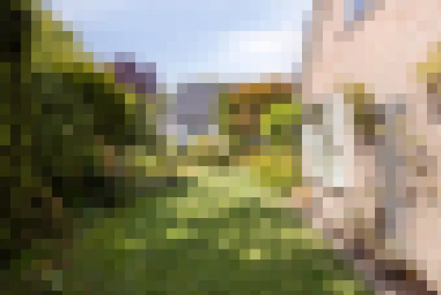 Azelosestraat 94 Borne thumbnail 33