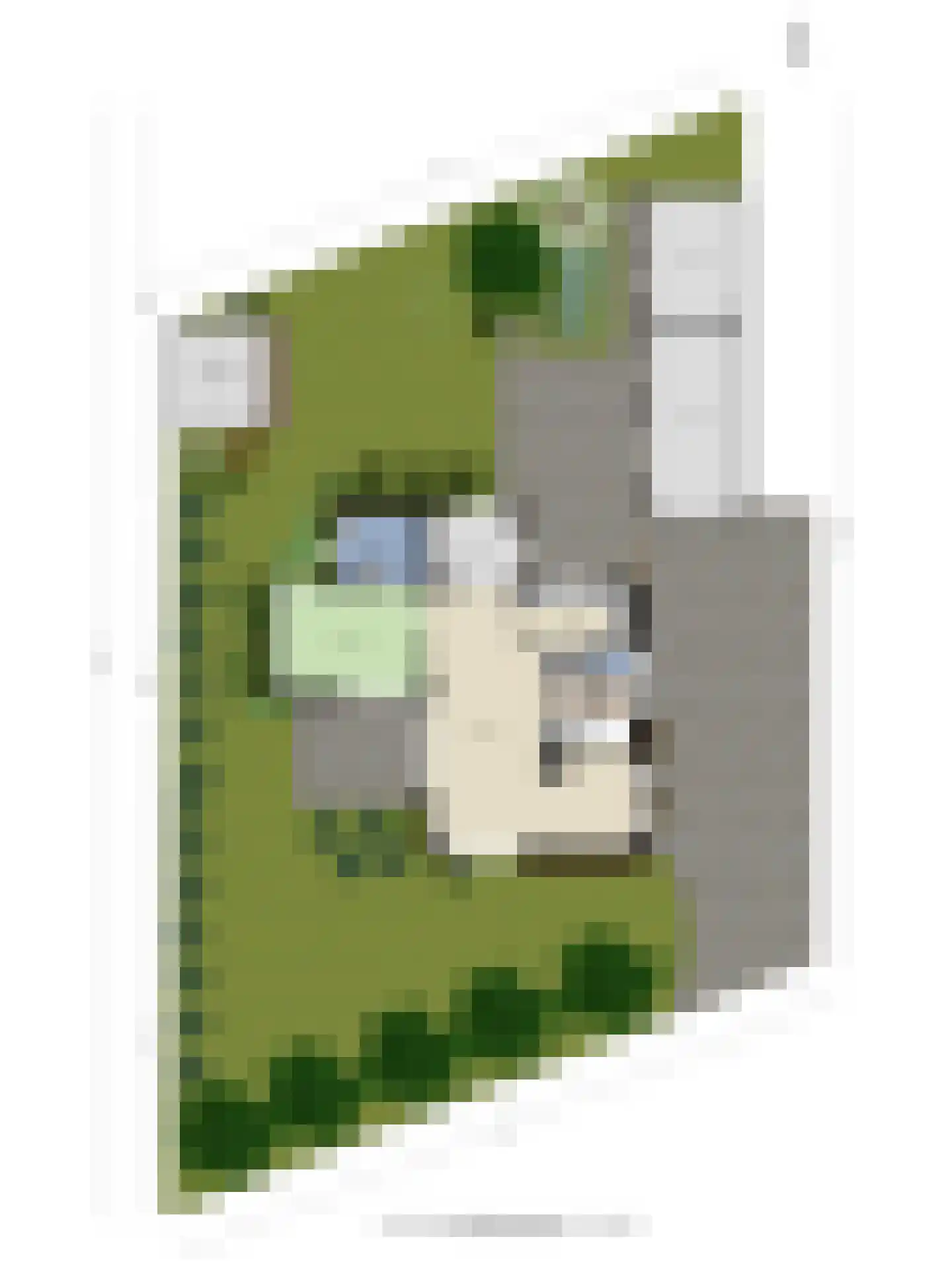 Azelosestraat 94 Borne thumbnail 40