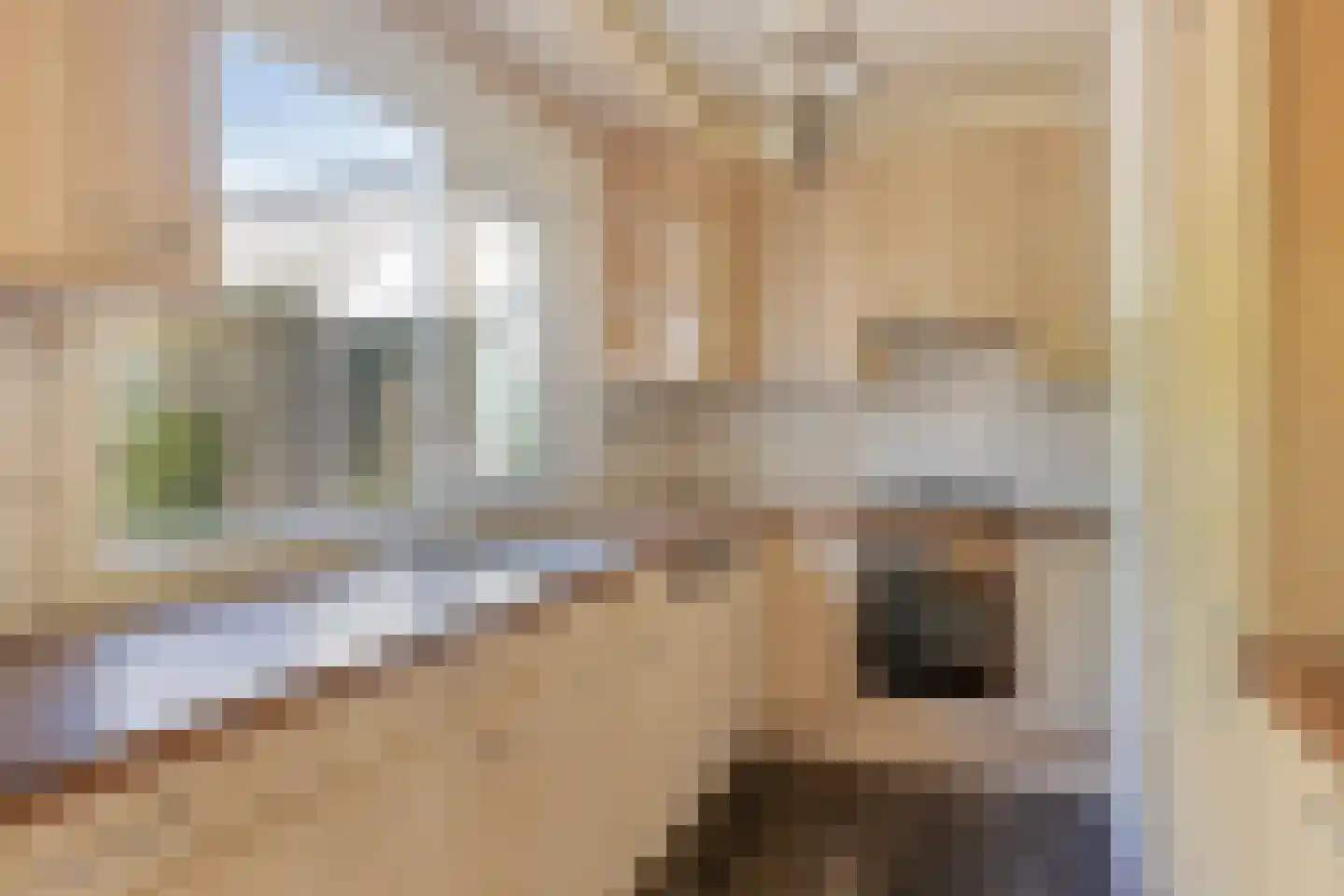 Azelosestraat 94 Borne thumbnail 9