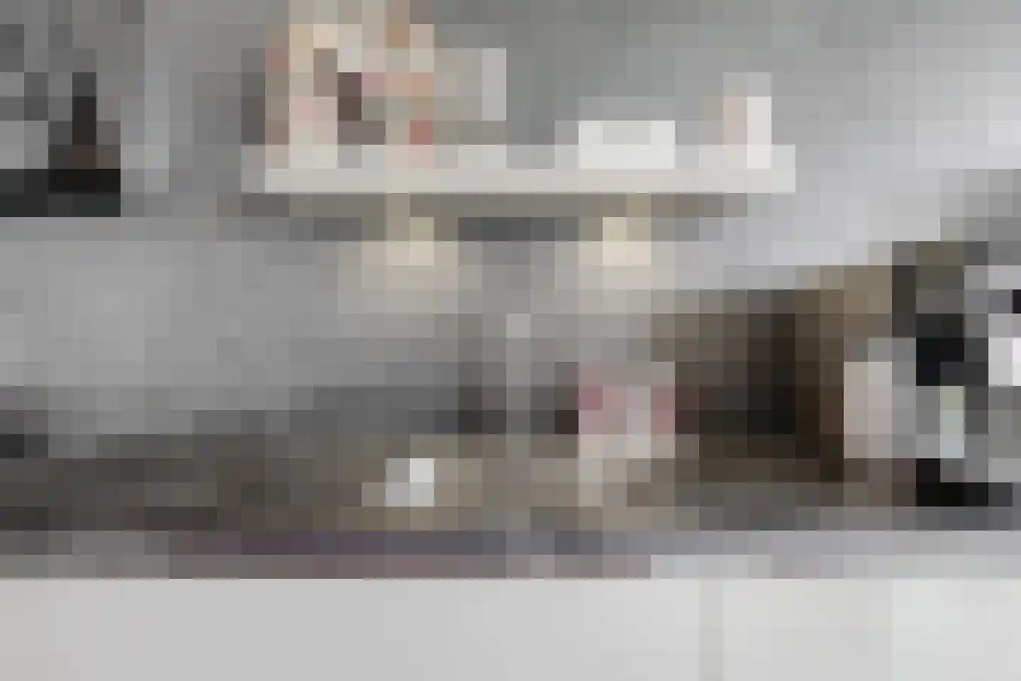 Aziëlaan 11 Alphen aan den Rijn thumbnail 8
