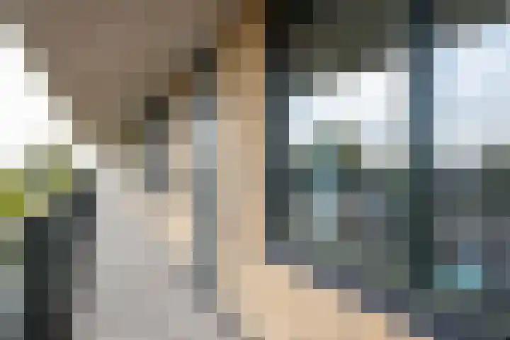 Aziëlaan 113 Alphen aan den Rijn thumbnail 14