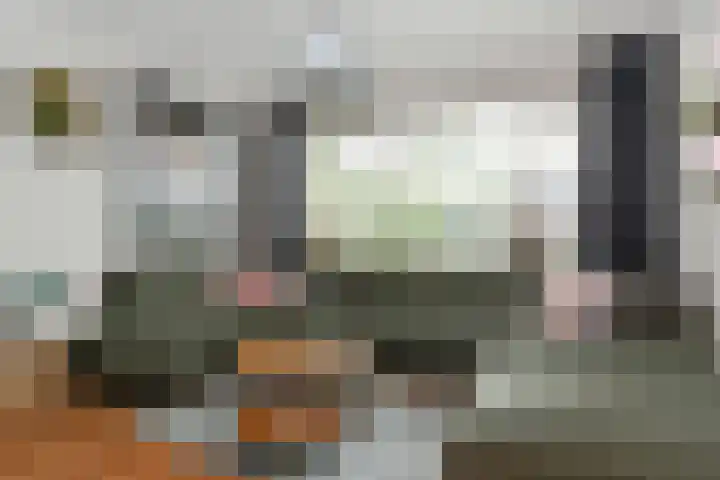 Aziëlaan 24 Son en Breugel thumbnail 10