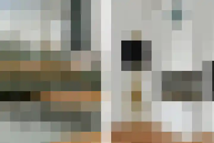 Aziëlaan 24 Son en Breugel thumbnail 11