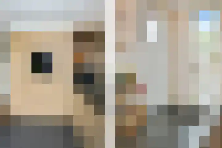 Aziëlaan 24 Son en Breugel thumbnail 16