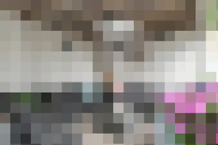 Aziëlaan 24 Son en Breugel thumbnail 31