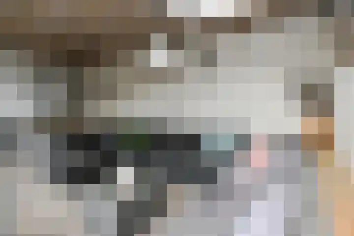Aziëlaan 24 Son en Breugel thumbnail 32