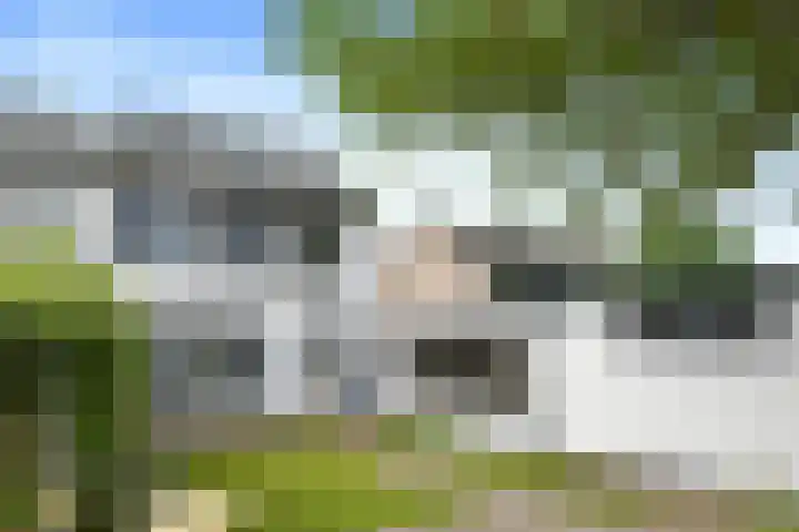 Aziëlaan 24 Son en Breugel thumbnail 34