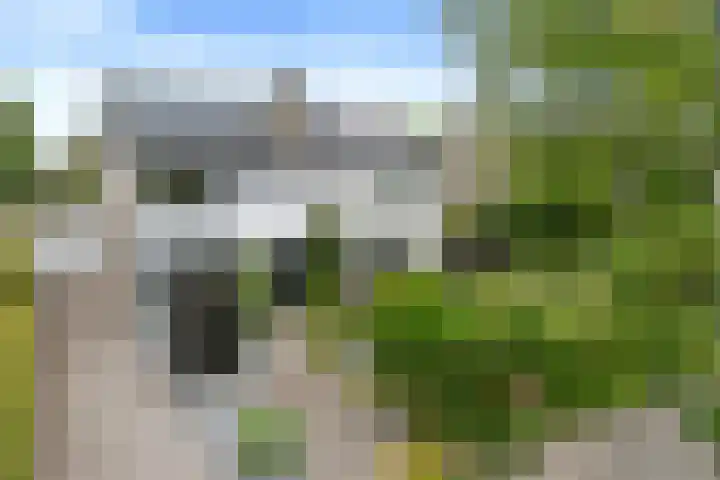 Aziëlaan 24 Son en Breugel thumbnail 5