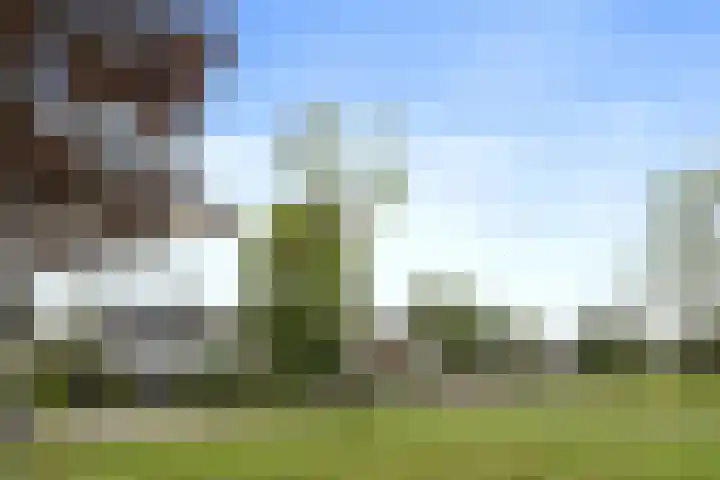 Aziëlaan 24 Son en Breugel thumbnail 7