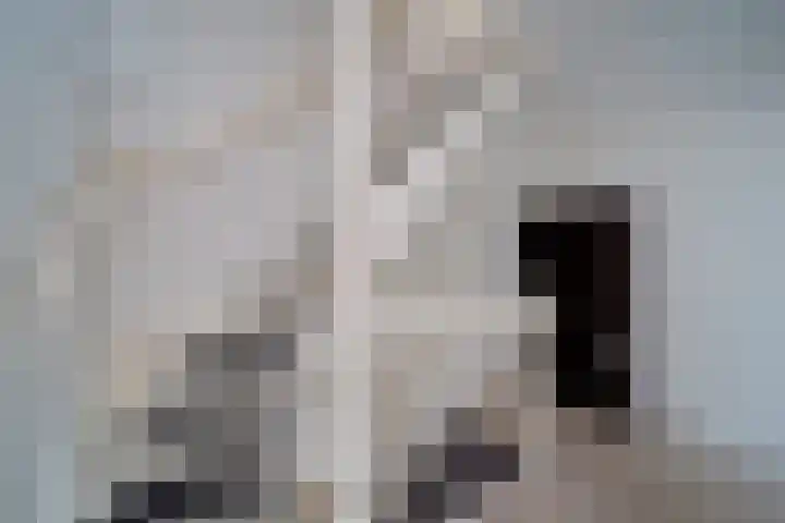Aziëlaan 245 Delft thumbnail 33