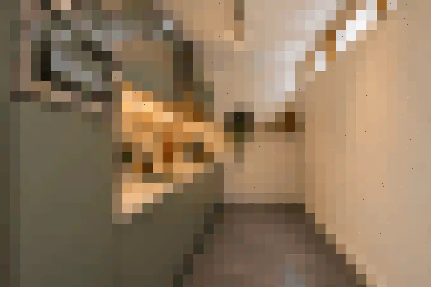 Aziëlaan 246 Utrecht thumbnail 10