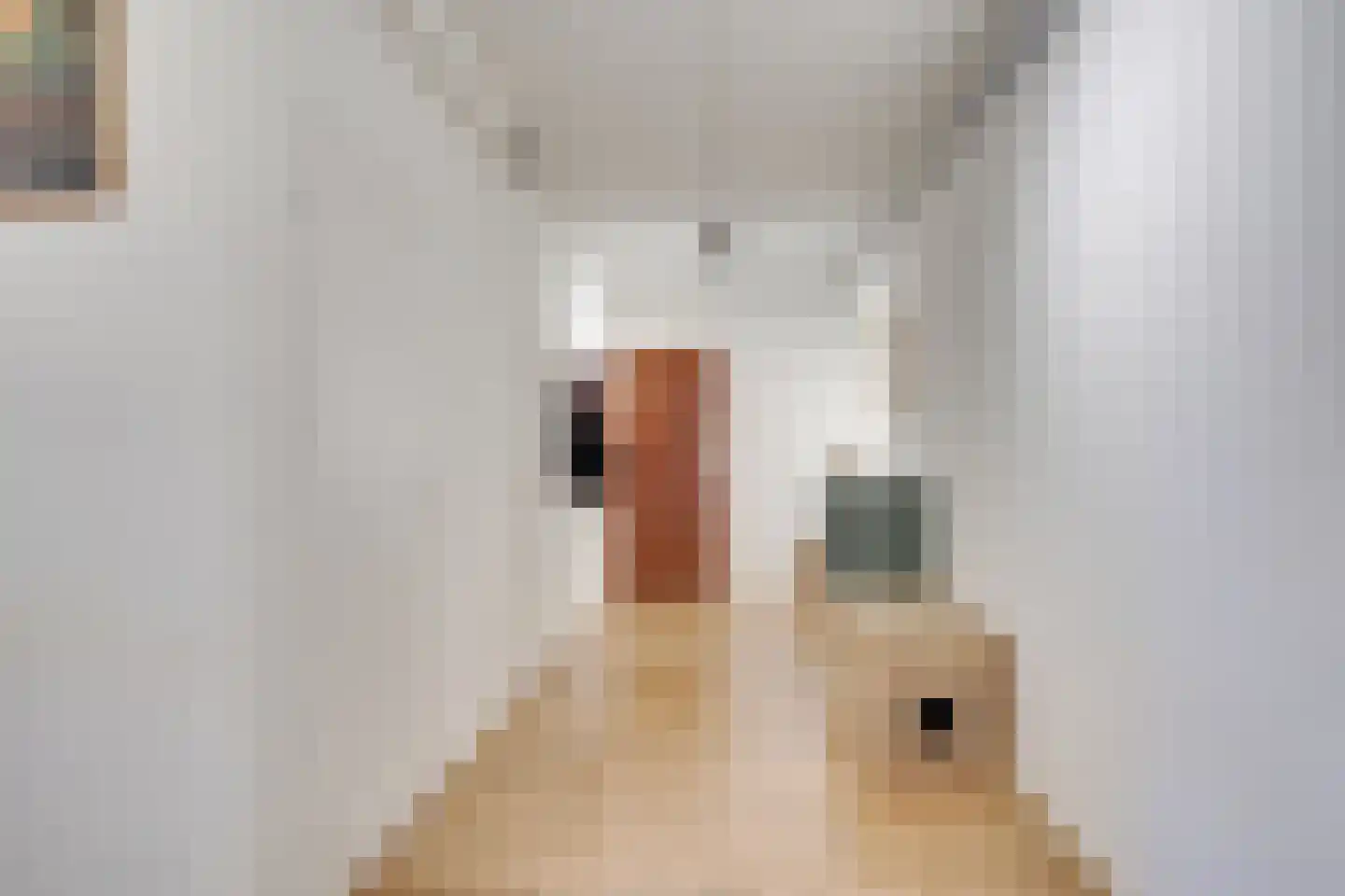 Aziëlaan 316 Utrecht thumbnail 31