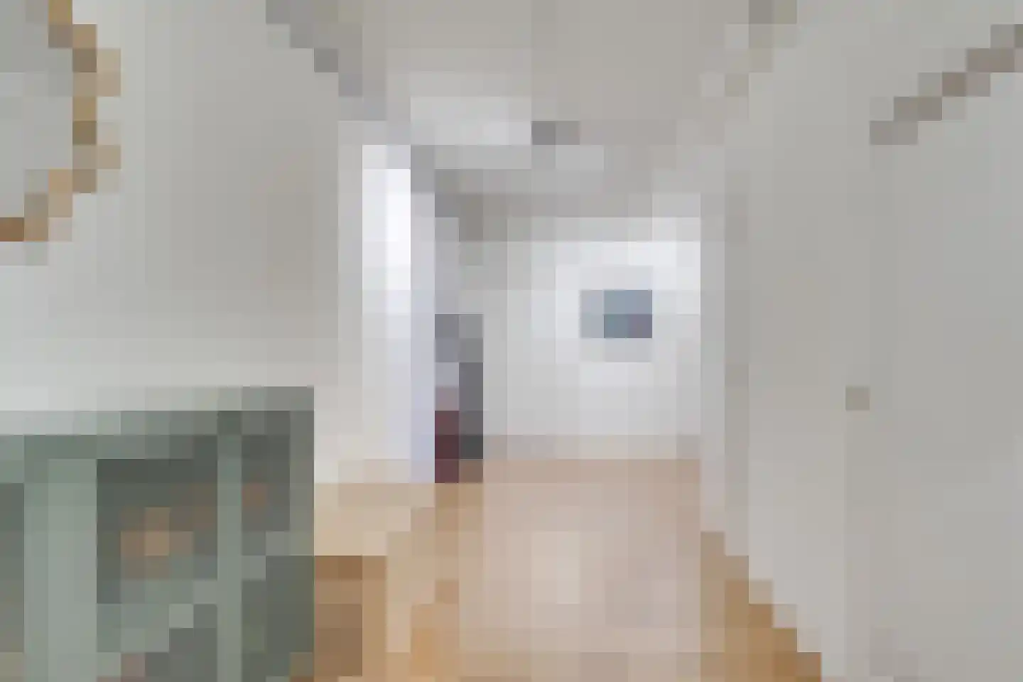 Aziëlaan 316 Utrecht thumbnail 32