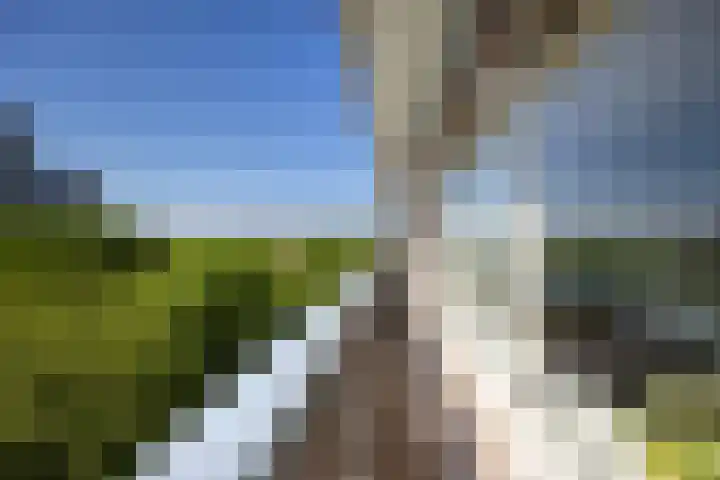 Aziëlaan 318 Utrecht thumbnail 19
