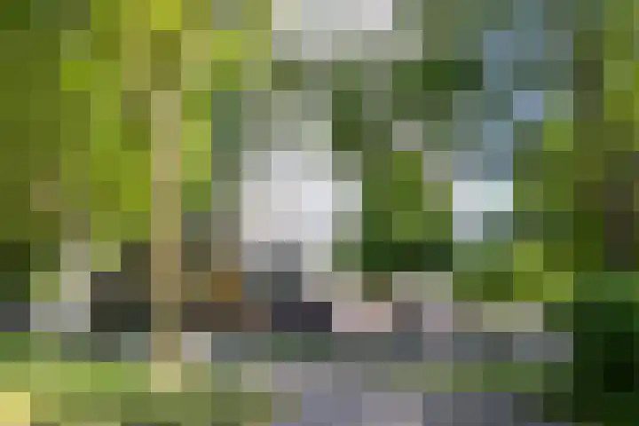 Aziëlaan 318 Utrecht thumbnail 27
