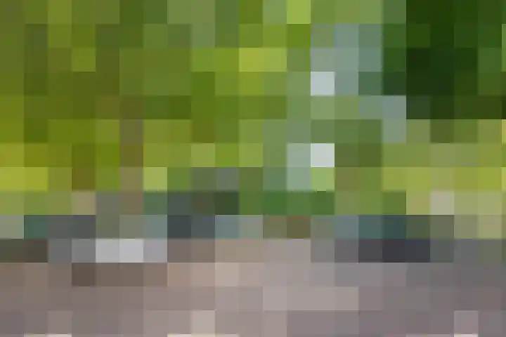 Aziëlaan 318 Utrecht thumbnail 28