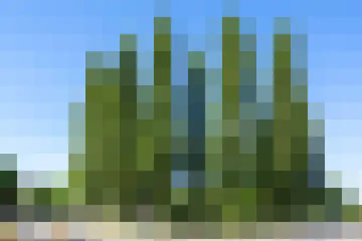 Aziëlaan 318 Utrecht thumbnail 31