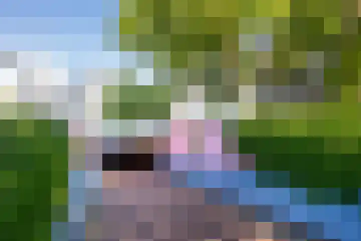 Aziëlaan 318 Utrecht thumbnail 32