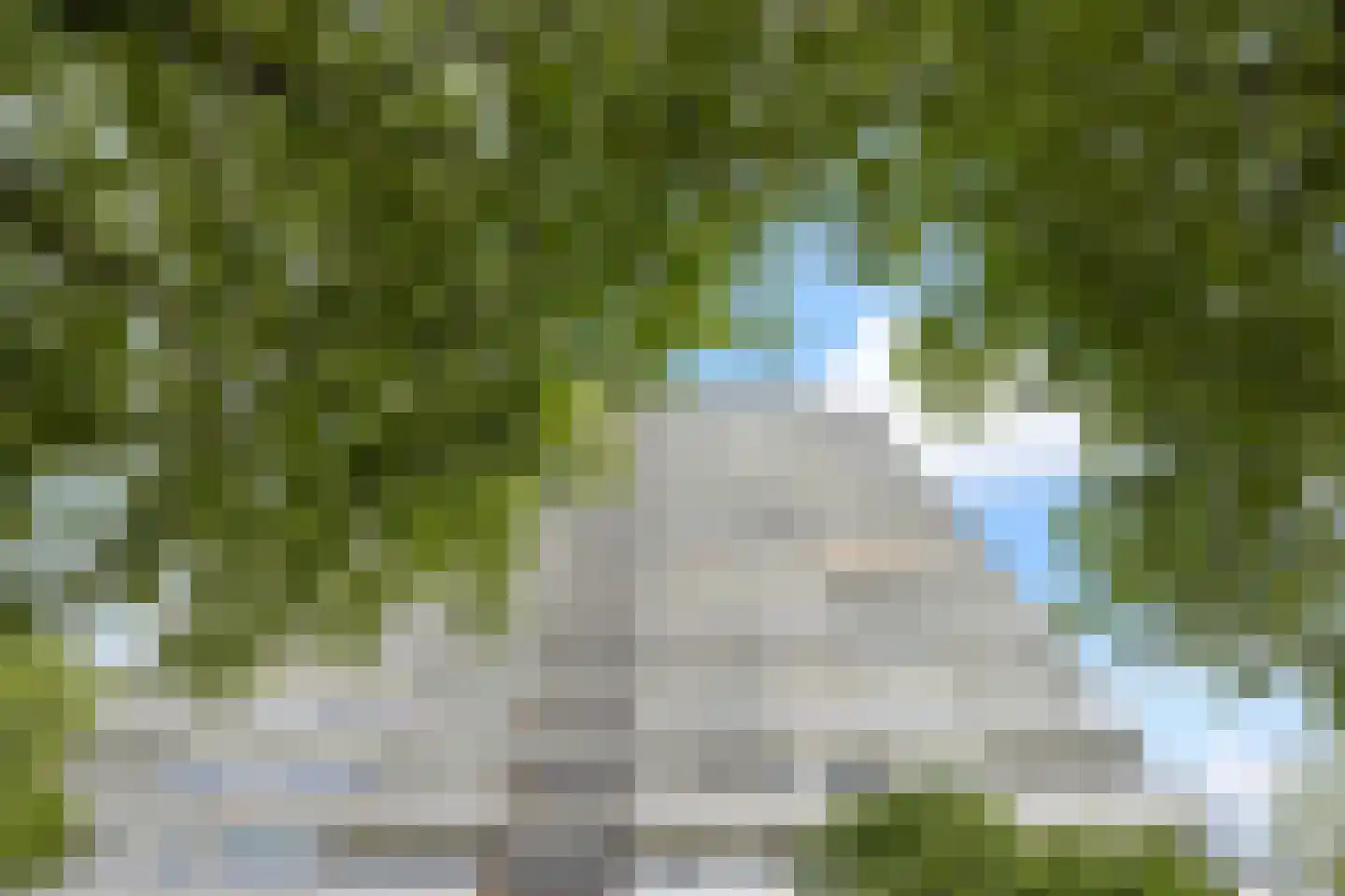 Aziëlaan 332 Utrecht thumbnail 5