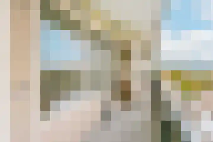 Aziëlaan 334 Utrecht thumbnail 15