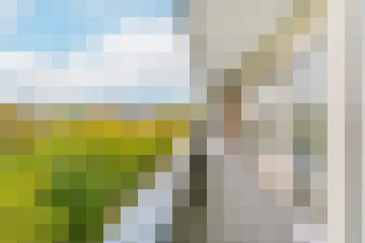 Aziëlaan 334 Utrecht thumbnail 16