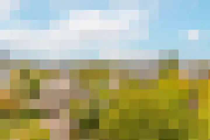 Aziëlaan 334 Utrecht thumbnail 18