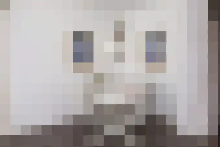 Aziëlaan 346 Utrecht thumbnail 15