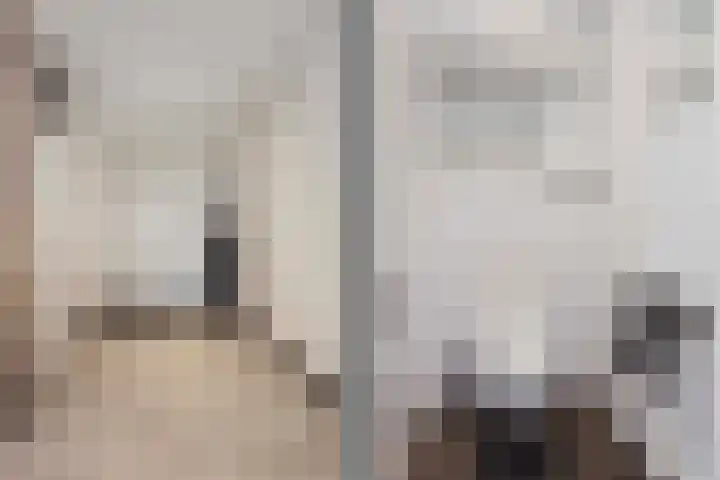 Aziëlaan 372 Utrecht thumbnail 8
