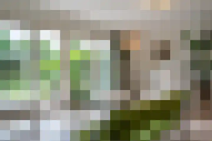 Aziëlaan 374 Delft thumbnail 7