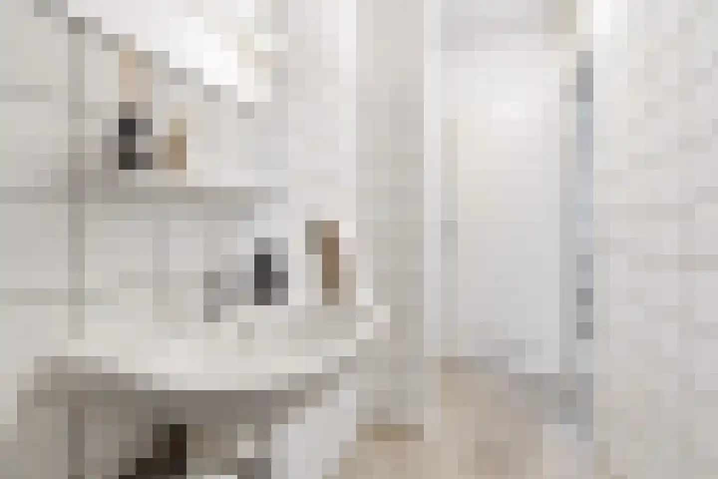 Aziëlaan 396 Utrecht thumbnail 35