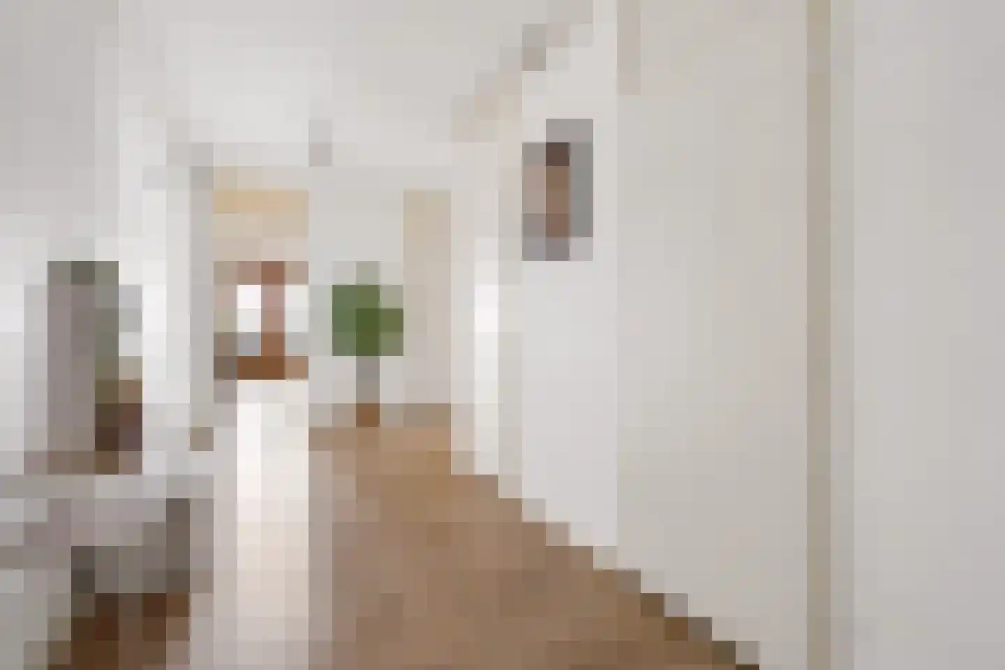 Aziëlaan 396 Utrecht thumbnail 8