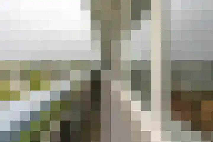 Aziëlaan 414 Utrecht thumbnail 26