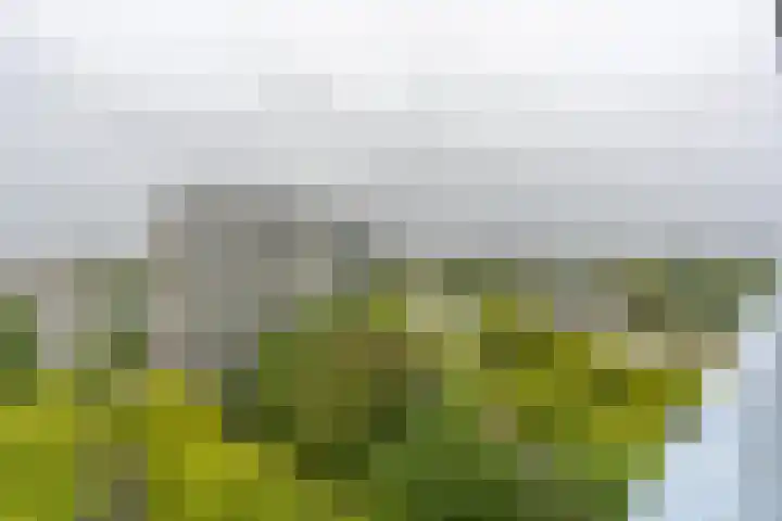 Aziëlaan 414 Utrecht thumbnail 29