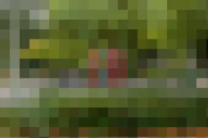 Aziëlaan 414 Utrecht thumbnail 31
